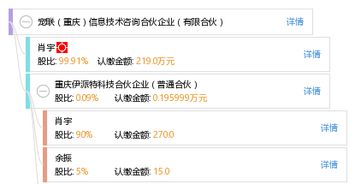 寵聯（重慶）信息技術咨詢合伙企業 專業信息技術服務助力企業數字化轉型